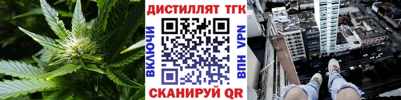 Дистиллят ТГК Wax  Тосно 