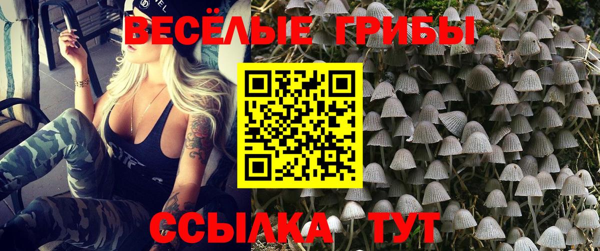 Галлюциногенные грибы Cubensis Тосно