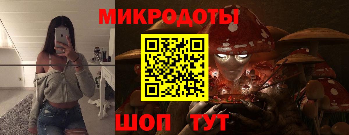 Псилоцибиновые грибы прущие грибы Тосно