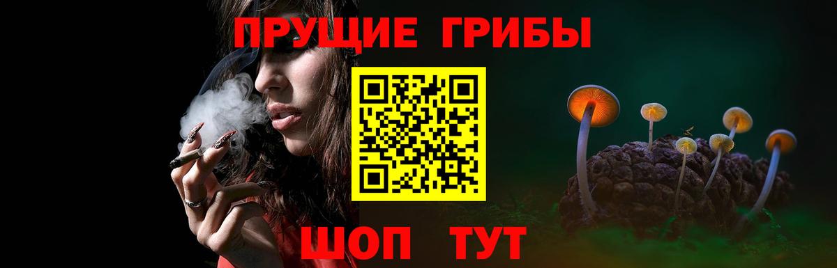 Тосно  Псилоцибиновые грибы GOLDEN TEACHER  купить   Галлюциногенные грибы ЛСД  Вход с VPN 