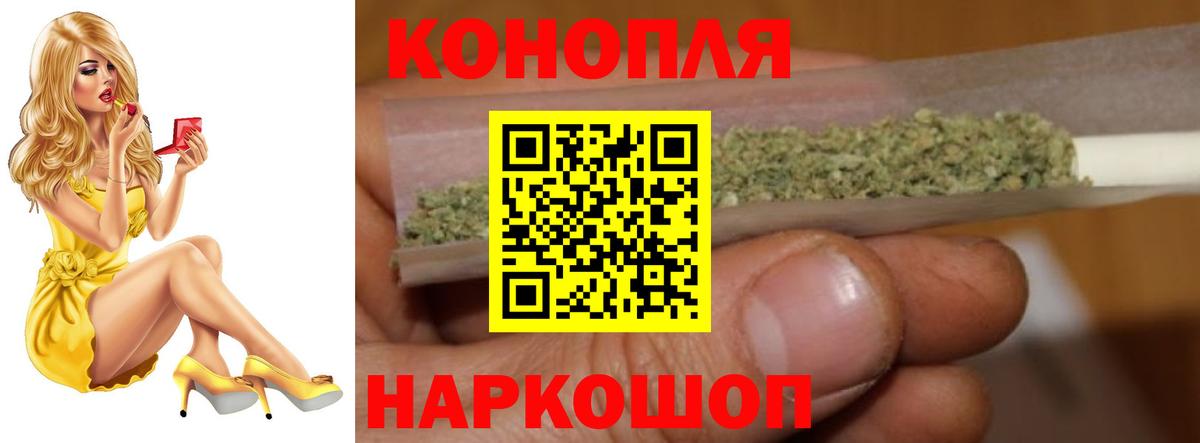Бошки марихуана конопля  Каннабис Bruce Banner  Марихуана семена  Вход с VPN  Тосно  Марихуана OG Kush 